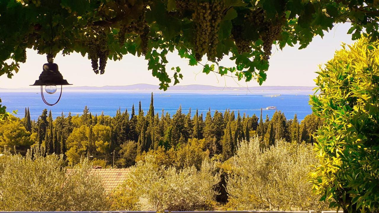 Mediterranean House - Forest Marjan Split Exterior foto